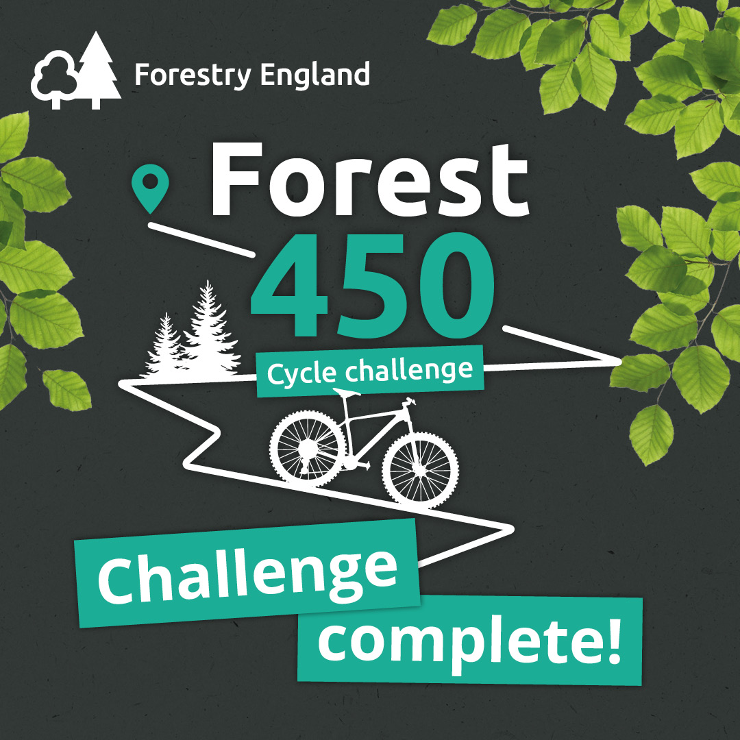 Forest 450 Forestry England forest-450-forestry-england